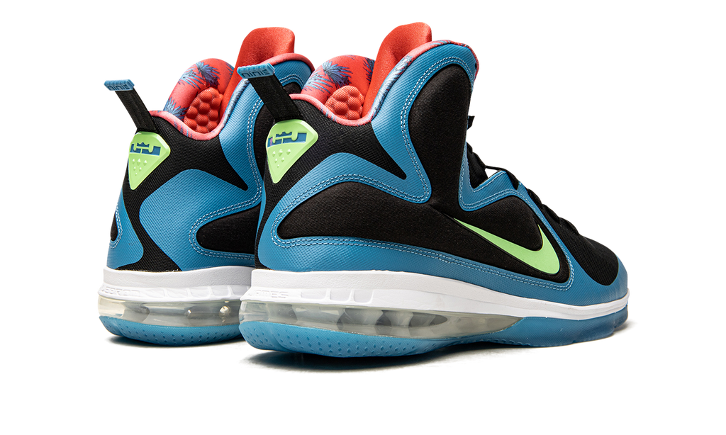 Lebron 9 "South Coast" DO5838 001