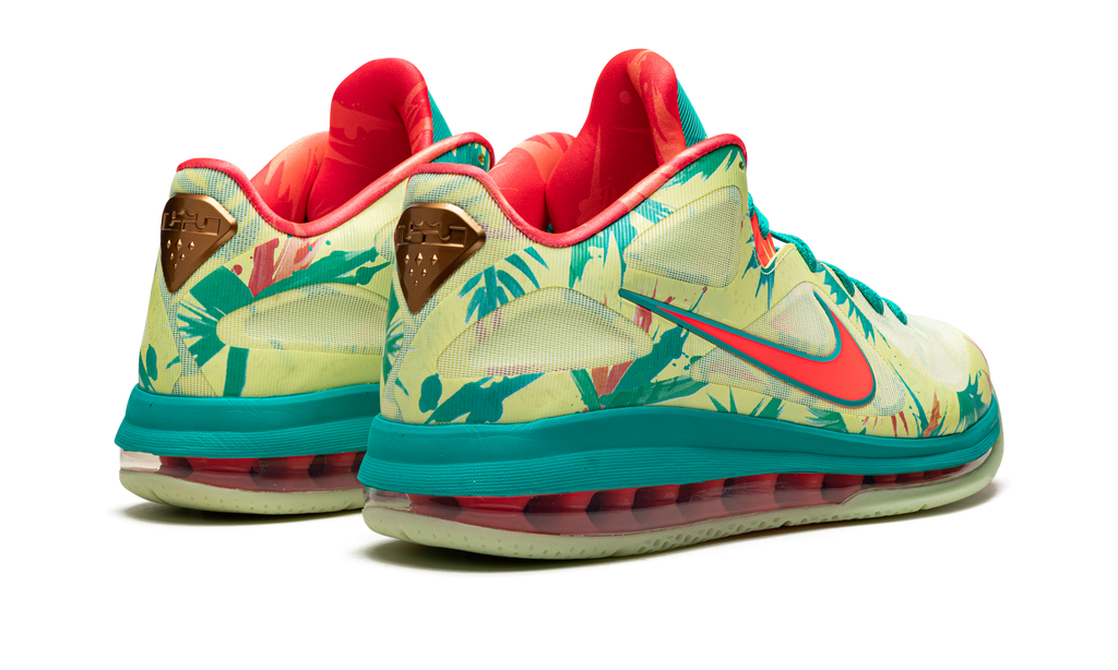 LeBron 9 Low "LeBronald Palmer" DO9355 300