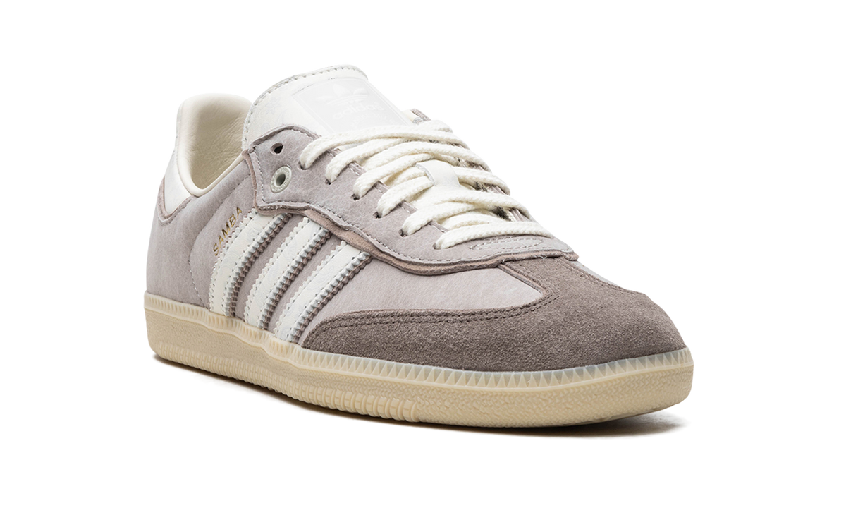 Samba OG Offspring "Consortium Cup" IG1954