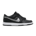 Nike Dunk Low NBA 75th Anniversary Spurs (GS)