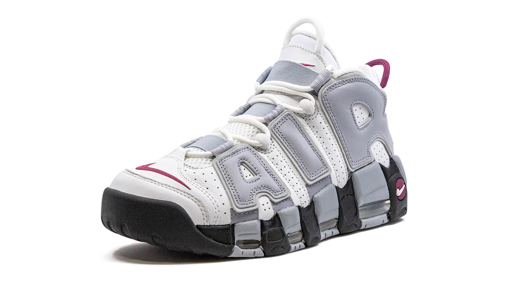 AIR MORE UPTEMPO WMNS "Rosewood" DV1137 100
