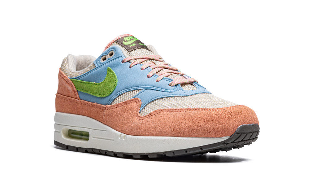 Air Max 1 "Light Madder Root" DV3196 800
