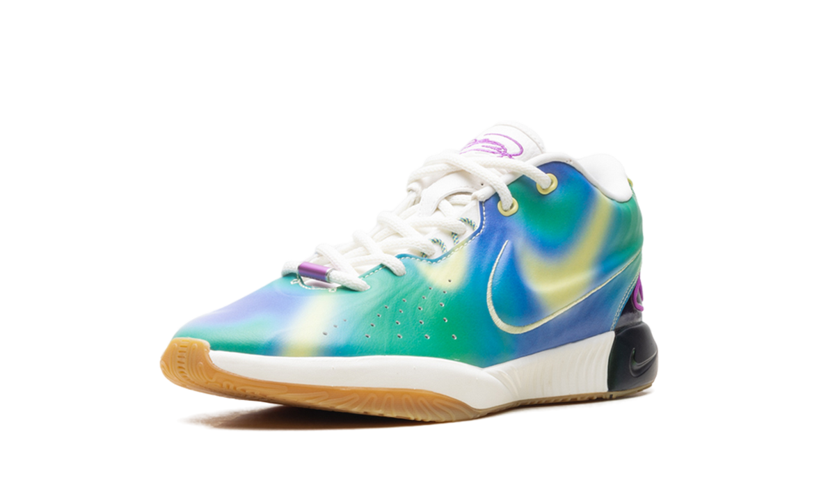 LeBron 21 GS "Multi-Color" FN4305 900