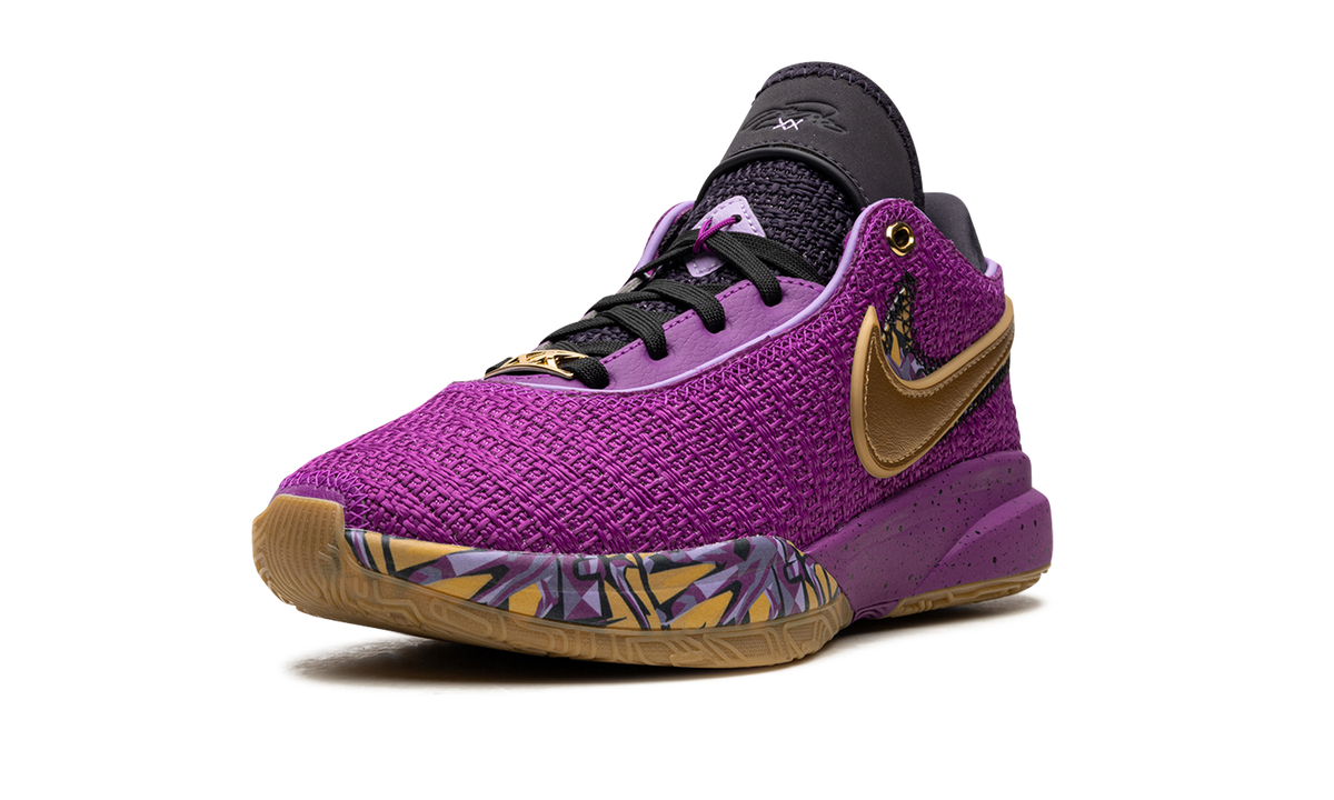 LeBron 20 GS "Young Heirs" FD0207 500