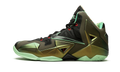 Lebron 11 "King's Pride" 616175 700