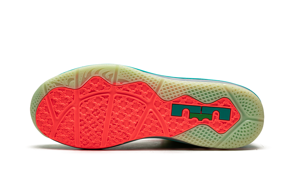 LeBron 9 Low "LeBronald Palmer" DO9355 300