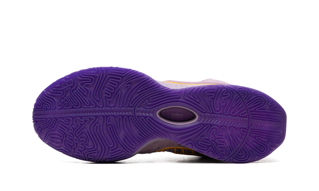 LeBron 21 "Purple Rain" FV2345 500