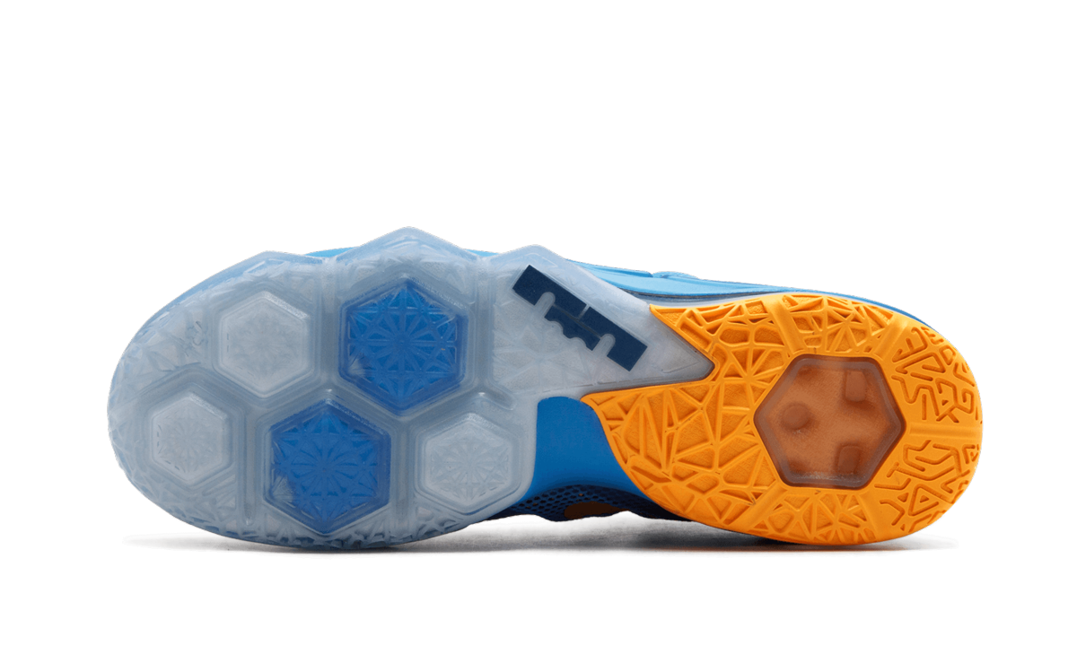 Lebron 12 Low "Entourage" 724557 484