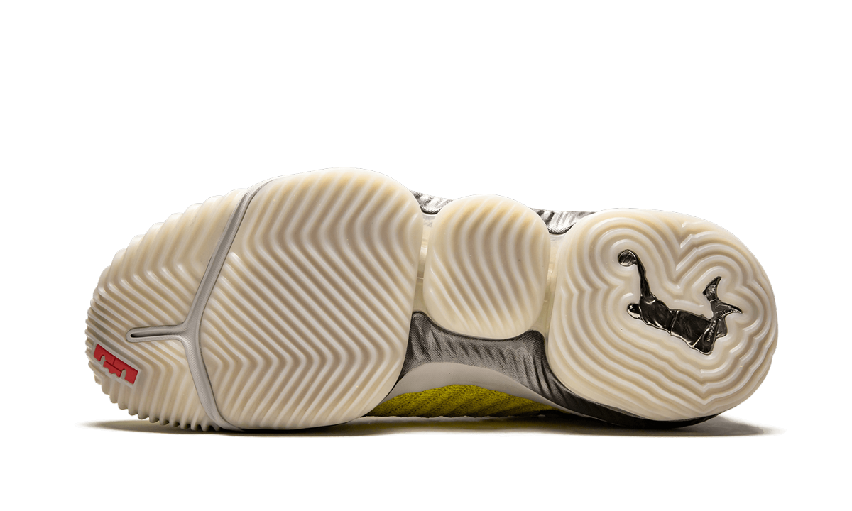 Lebron 16 "HFR" CI1145 700