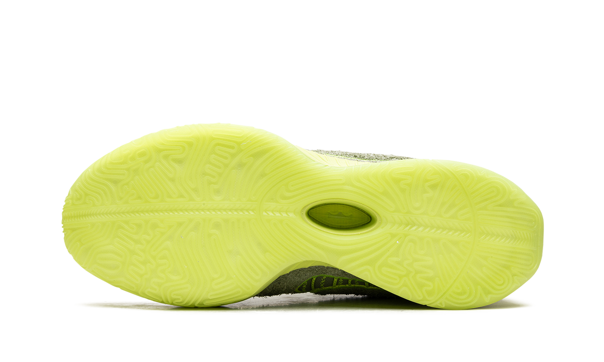 LeBron 21 "Algae" FV2345 302