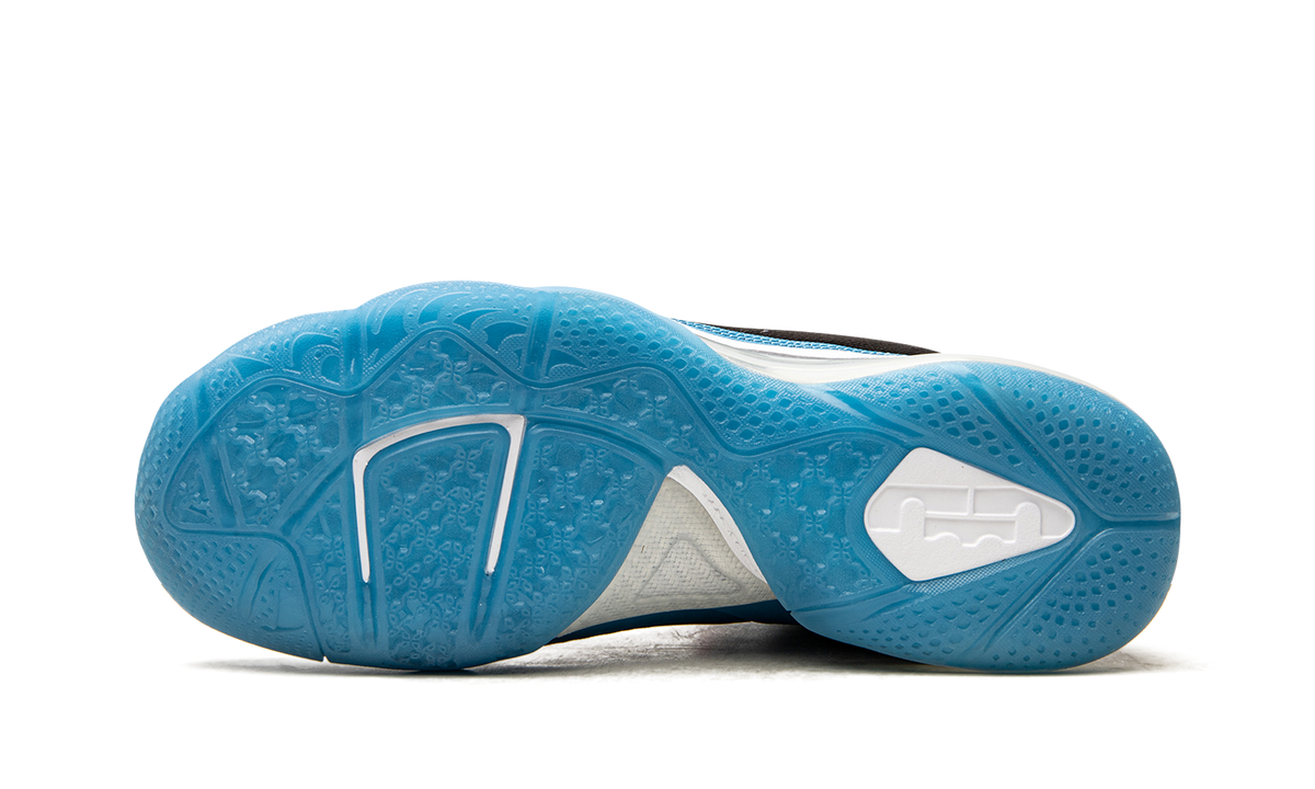 Lebron 9 "South Coast" DO5838 001